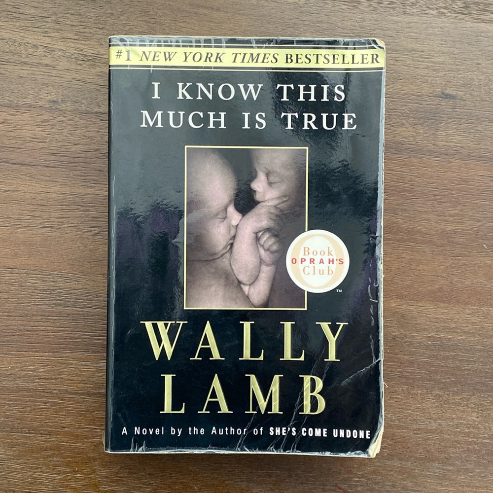 I Know This Much Is True by Wally Lamb (paperback, 1999)